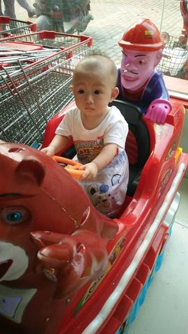journal_insert_pic_545263007