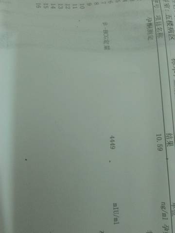 journal_insert_pic_547633871