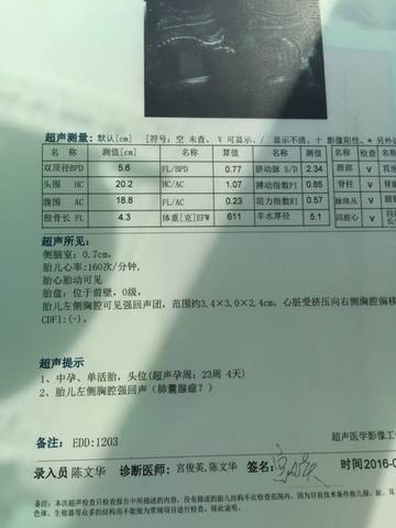 journal_insert_pic_548705861
