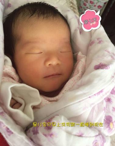 journal_insert_pic_548586222