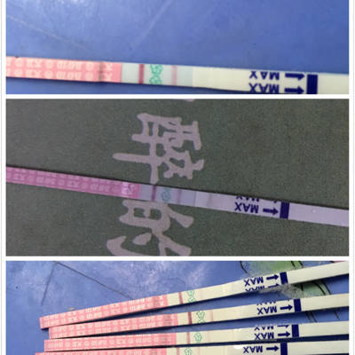 journal_insert_pic_550122239