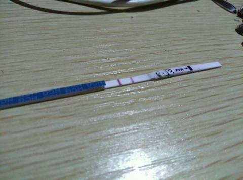 journal_insert_pic_550703642