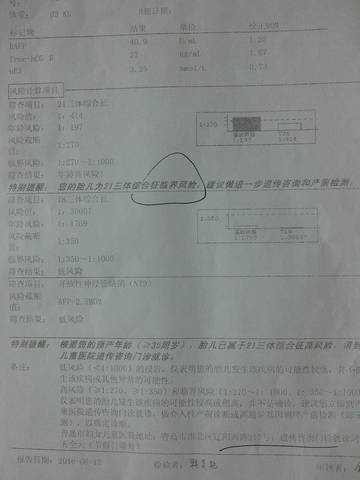 journal_insert_pic_551248293