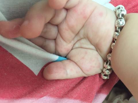 journal_insert_pic_553387440