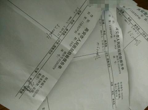 journal_insert_pic_555042136