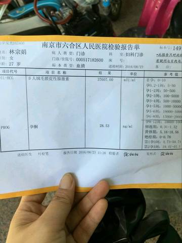 journal_insert_pic_557173698