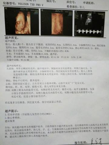 journal_insert_pic_557910855