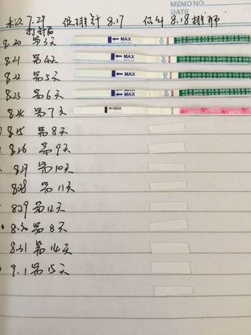 journal_insert_pic_557584418