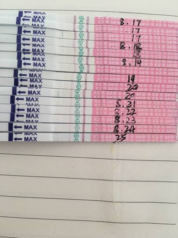 journal_insert_pic_558438116