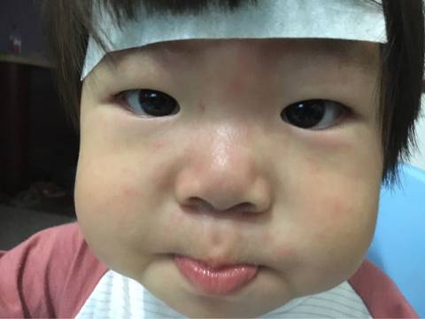 journal_insert_pic_558657322