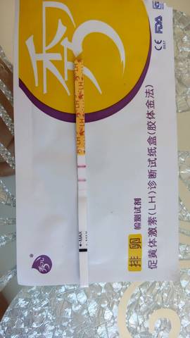 journal_insert_pic_558559244