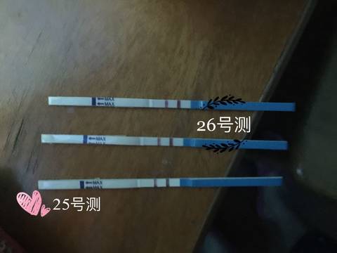journal_insert_pic_558931779