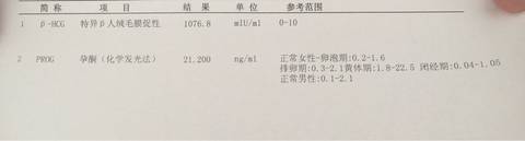 journal_insert_pic_560028137