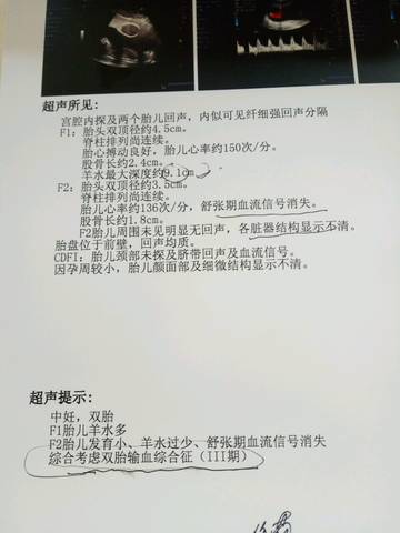journal_insert_pic_560992509