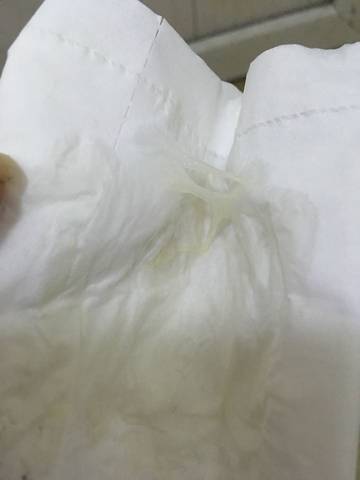journal_insert_pic_561669455