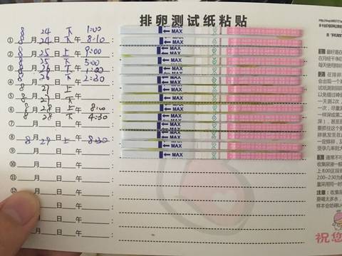 journal_insert_pic_561838715