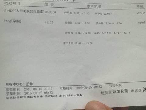 journal_insert_pic_561773766