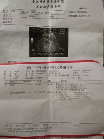 journal_insert_pic_561715863