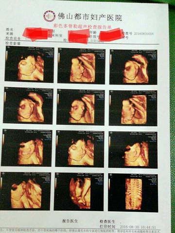 journal_insert_pic_561710109