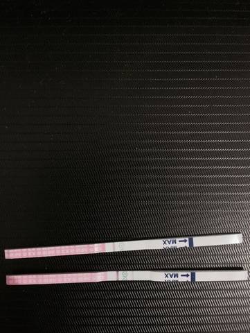 journal_insert_pic_564005951