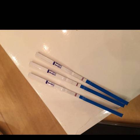 journal_insert_pic_565076826