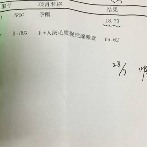 journal_insert_pic_565708967