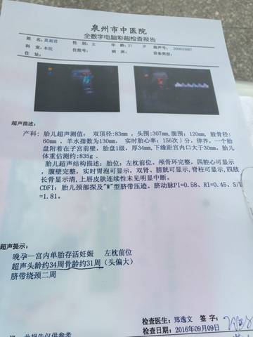 journal_insert_pic_568060781