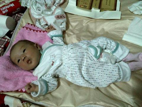 journal_insert_pic_569058630