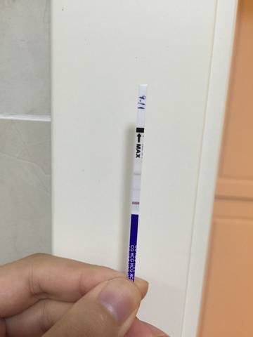 journal_insert_pic_568942150