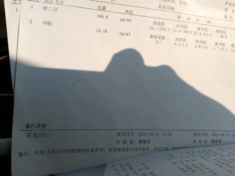 journal_insert_pic_569147156