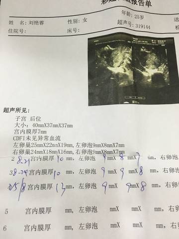 journal_insert_pic_569896205