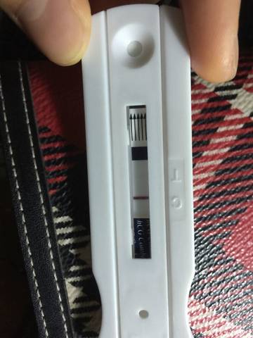 journal_insert_pic_569880720
