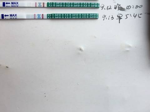 journal_insert_pic_570106497