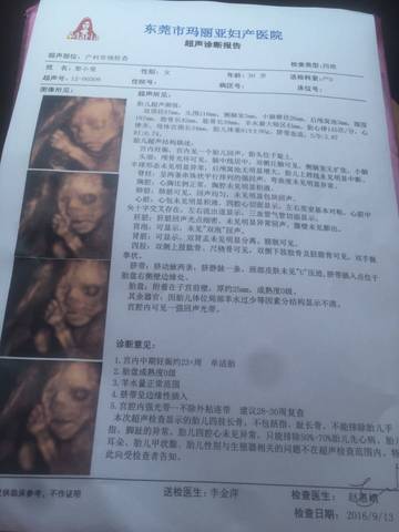 journal_insert_pic_570367941