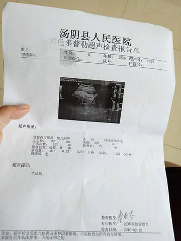 journal_insert_pic_570339394