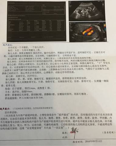 journal_insert_pic_570977392