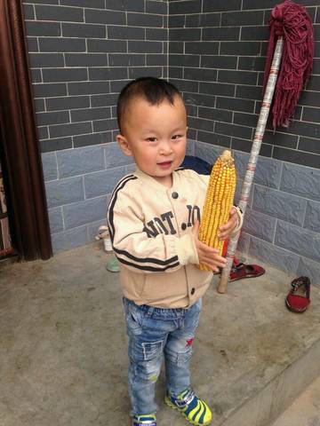 journal_insert_pic_570954602