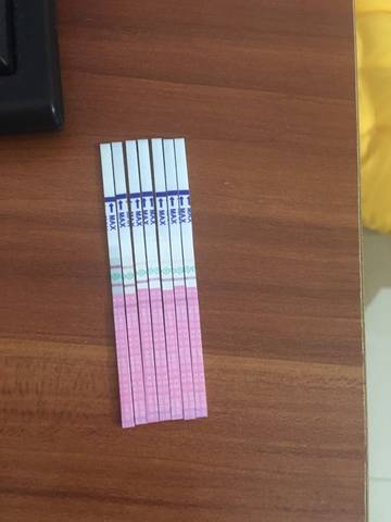 journal_insert_pic_570980355