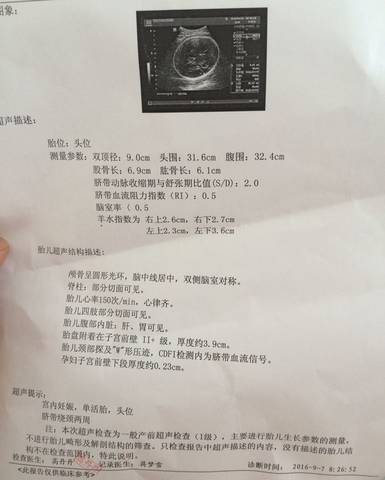 journal_insert_pic_572284350