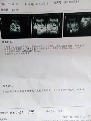 journal_insert_pic_571890655