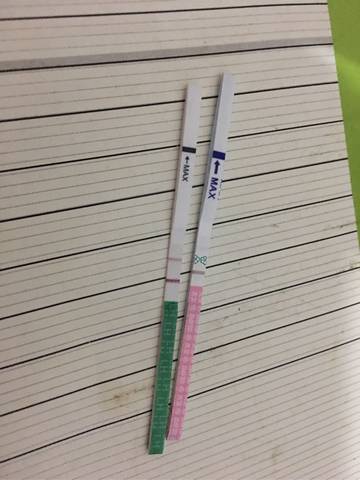 journal_insert_pic_572380391