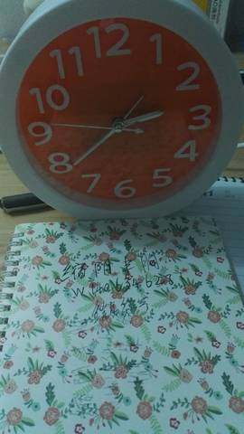journal_insert_pic_572388653