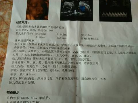 journal_insert_pic_573937770