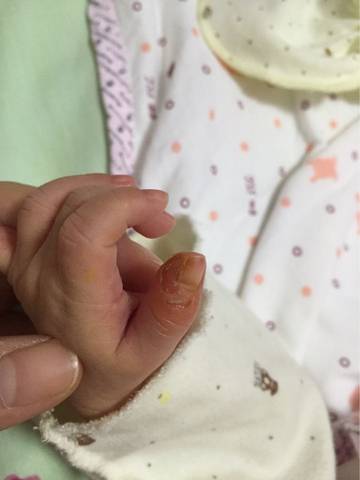 journal_insert_pic_574108589