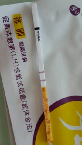 journal_insert_pic_574432305