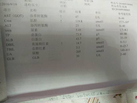 journal_insert_pic_574786802