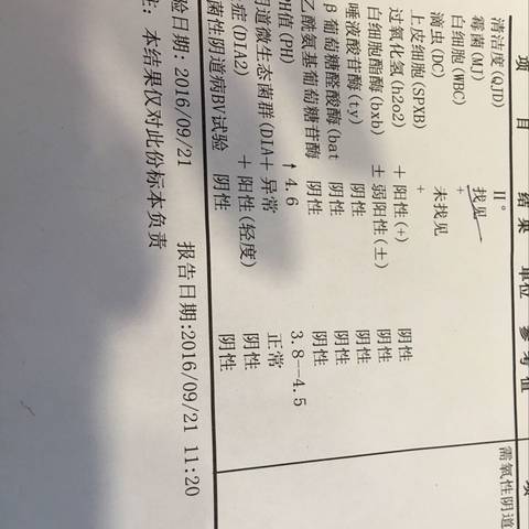 journal_insert_pic_575104163