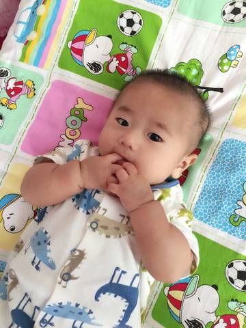 journal_insert_pic_575250926
