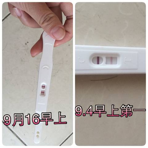 journal_insert_pic_575601513