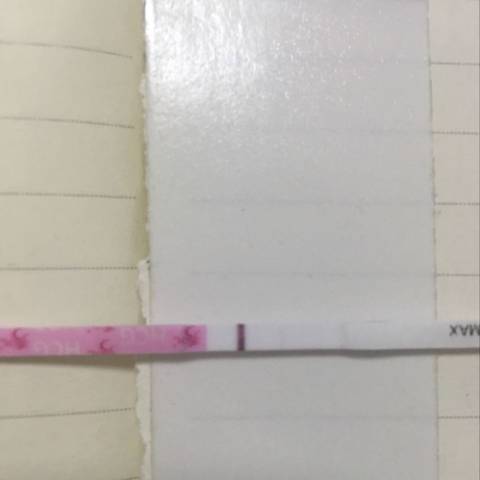 journal_insert_pic_576167907